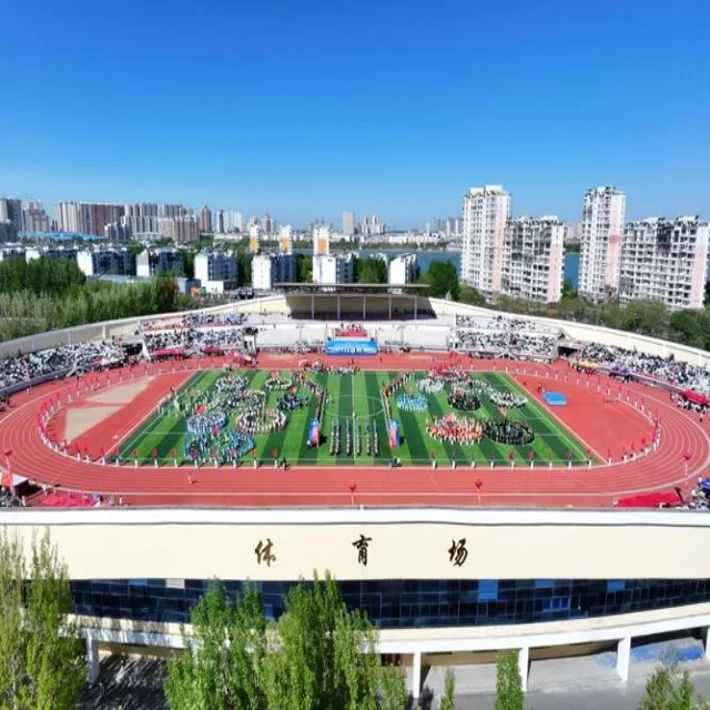 球队名单变化全解析：赛程视角下的第219组新挑战 专稿第12218期